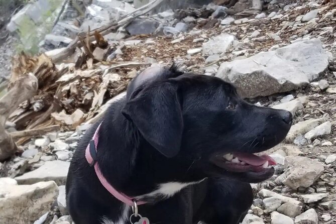 2 hours hiking night tour to strip views in las vegas evaluating the value of the tour