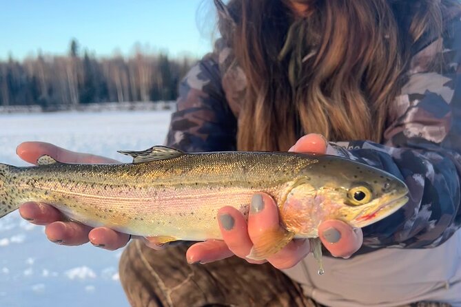 3 hour ice fishing experience the journey into alaska’s ice fishing world