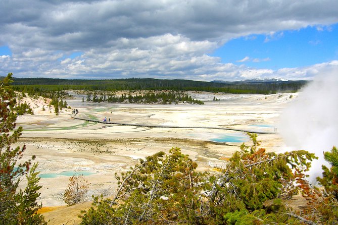 4-Day Small Group Tour: Yellowstone and Tetons Camping from Salt Lake City - What Past Travelers Say
