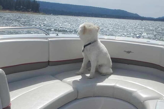 A local's favorite hike in big bear with lake swimming experience highlights