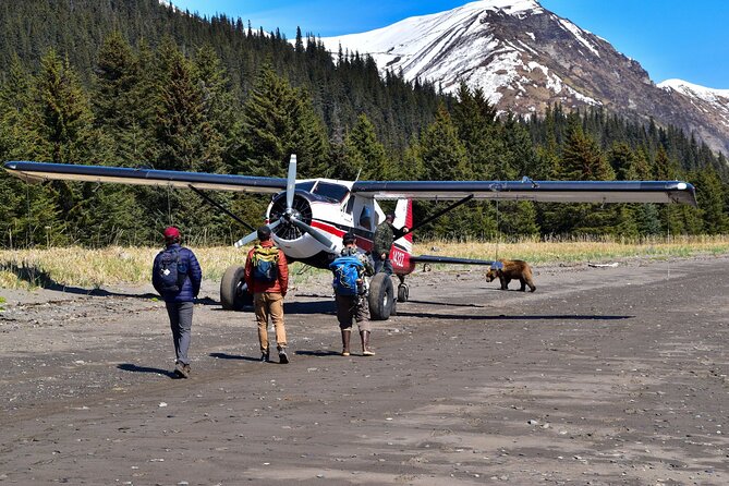 Alaska bear viewing adventure from seward transport and convenience: starting in seward