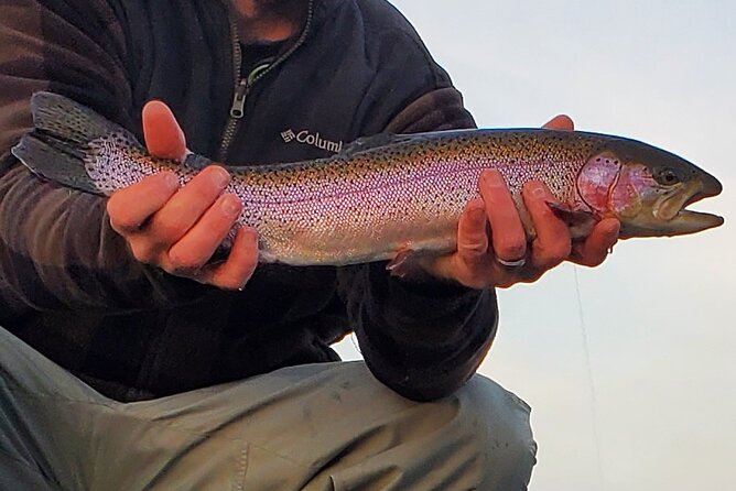 Anchorage ice fishing adventure a closer look at the experience