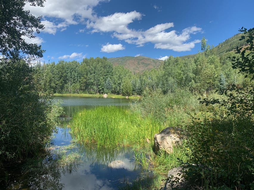 Aspen: guided light hike with roaring fork river views why we love this experience