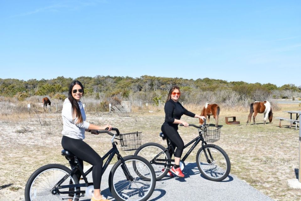 Assateague island: bike rental from the bayside stand detailed breakdown of the experience