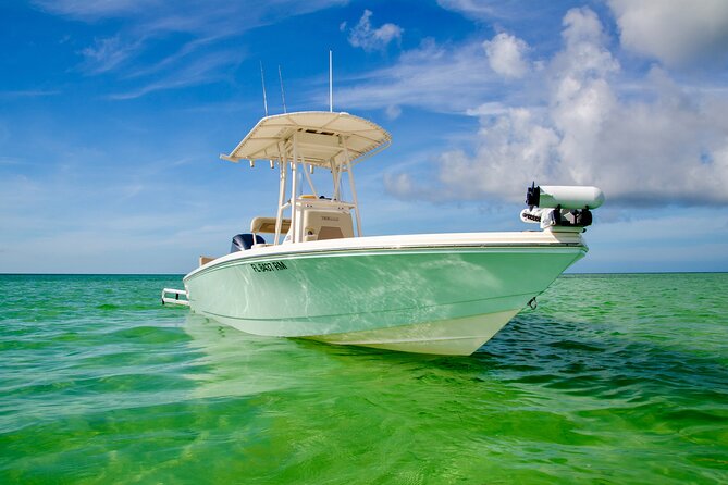 Backcountry half day fishing key west highlights of the backcountry half day fishing tour