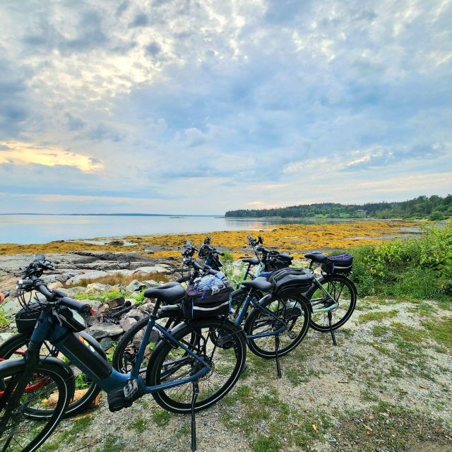Bar harbor: acadia national park carriage roads ebike tour why choose this tour?