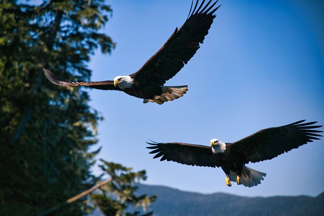 Bering sea crab fisherman's tour from ketchikan a detailed look at the experience