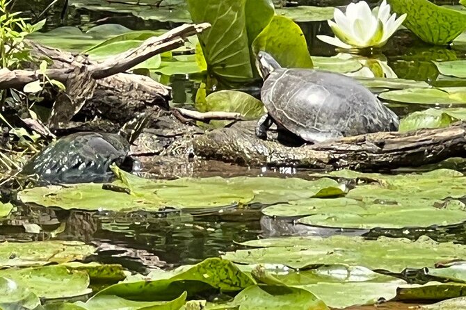 Buckhorn state park nature hike, kayaking tour, and fishing insights from real users: what participants said