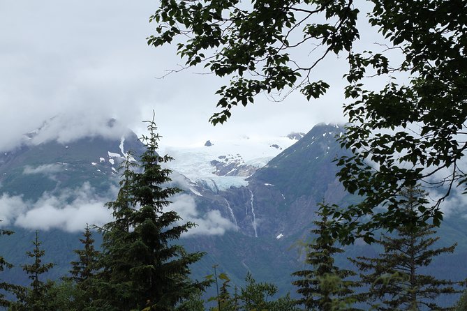 Chilkat inlet coastal hike in haines who should definitely consider this tour?