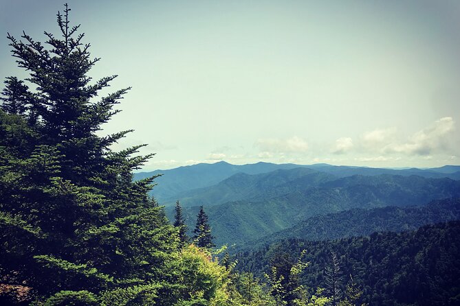 Clingmans dome hike a walk through the experience