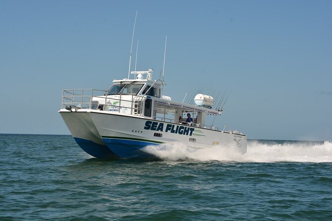 Deep sea fishing eight hour the experience: what you will love and what to watch for