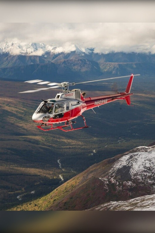 Denali national park: helicopter and hike adventure value and overall impression
