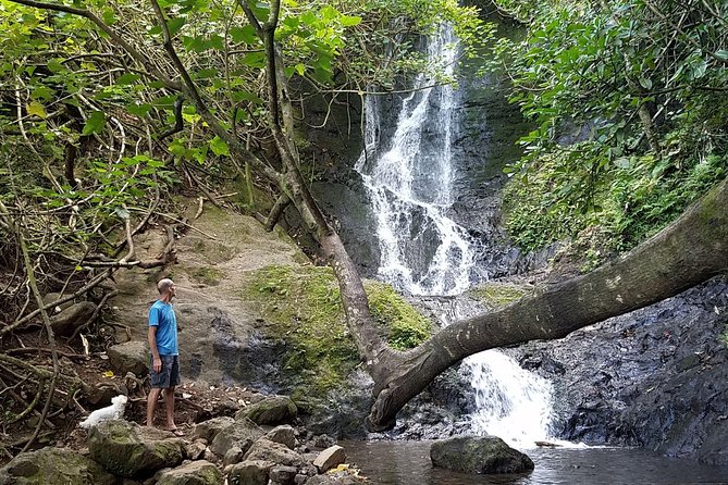 Downhill bike and ko'olau waterfall hike tour highlights of the downhill bike and koolau waterfall hike tour