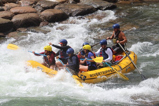 Durango "4.5 half day" rafting trip down the animas river starting point: santa rita park and durango office