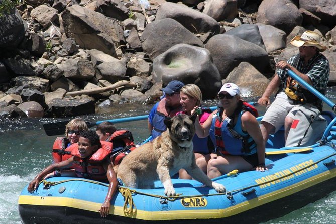 Durango rafting quarter day family friendly trip what to expect from this rafting trip