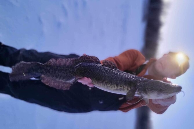 Fairbanks ice fishing with transportation the itinerary and what to expect