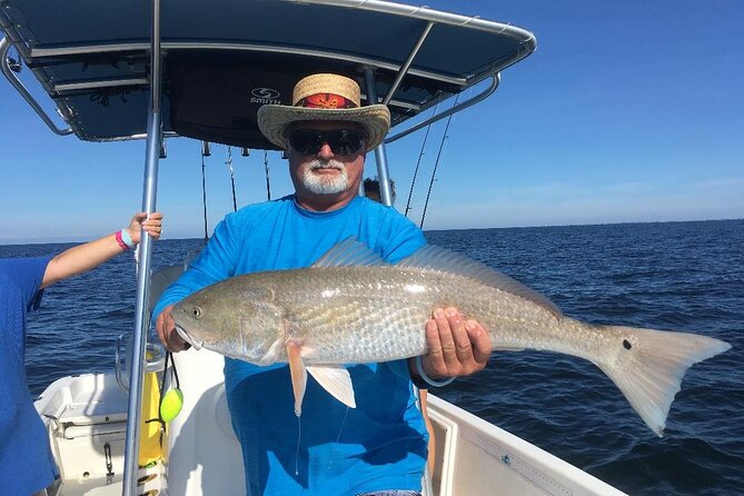Fishing charters fort myers beach / naples meeting point and logistics