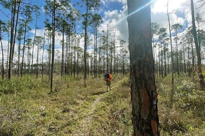 Florida backcountry overnight camping adventure wildlife and natural environments