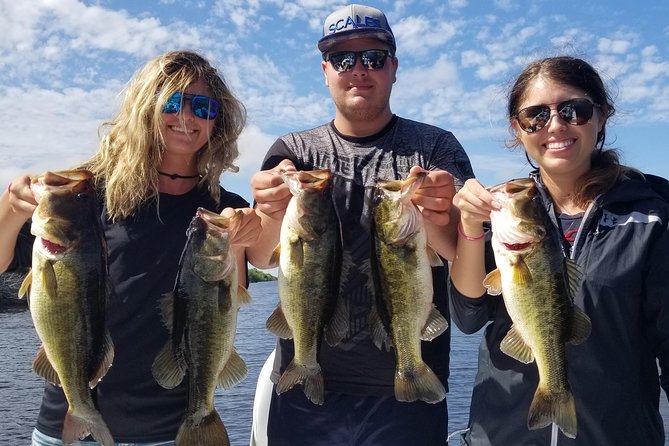 Florida everglades fishing charter near fort lauderdale navigating the itinerary: what to expect during your tour