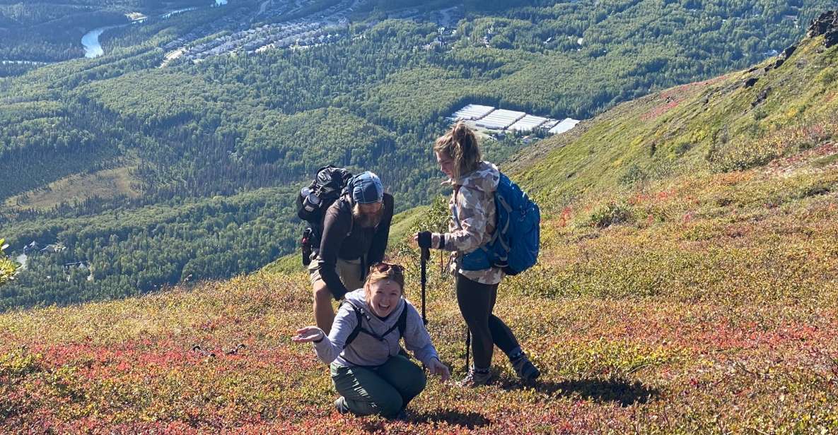 From anchorage: chugach state park guided alpine trek a closer look at the itinerary