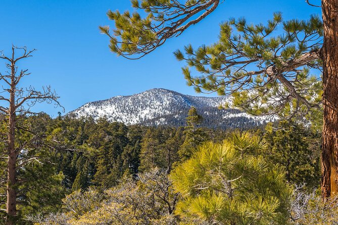 From san diego: two day camping and hiking adventure in idyllwild value and practical considerations