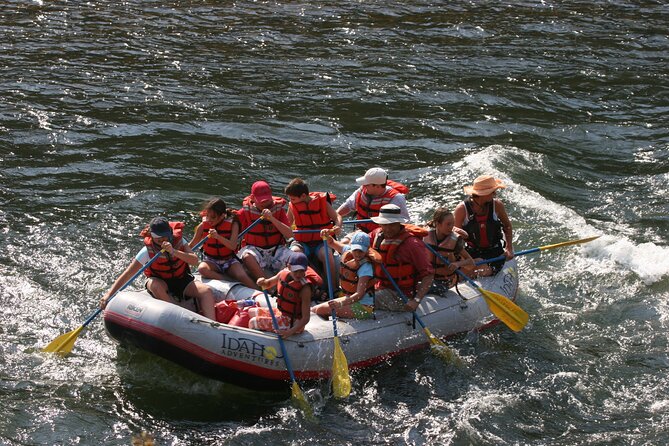 Full day whitewater rafting tour on the salmon river overview and pricing