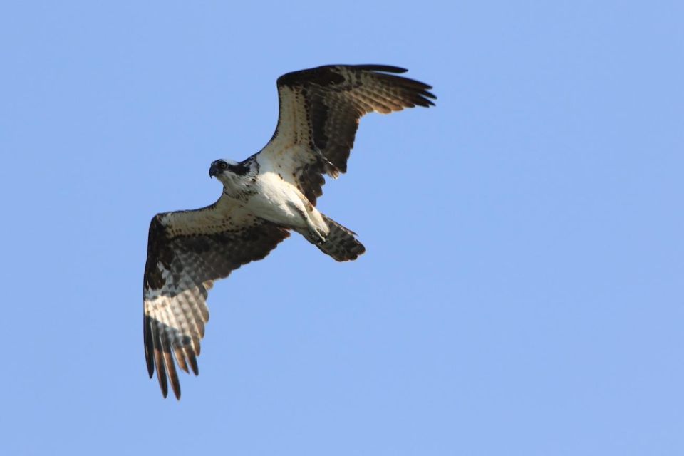 Gardiner: scenic raft float on the yellowstone river is it worth the price?