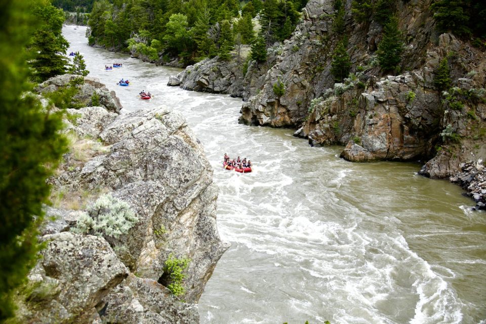 Gardiner: yellowstone river half day whitewater rafting the complete experience: what to expect