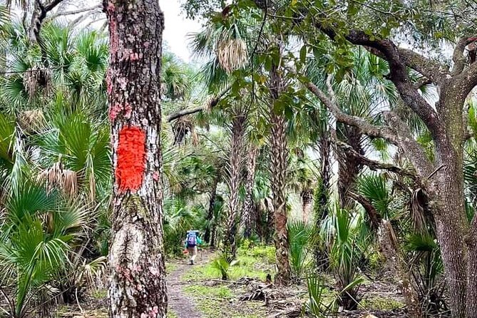 Guided day hike through florida's wild backcountry. frequently asked questions