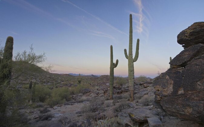 Guided Desert Sunrise or Evening/Sunset 2-Hour Hike at South Mtn - The Guide and the Experience: Why It Matters