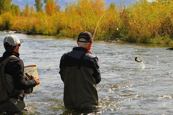 Guided fly fishing experience in park city highlights of the guided fly fishing tour in park city