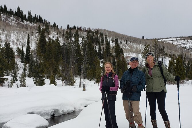 Guided uinta forest 3 mile hike w/fire + lunch/charcuterie stop highlights