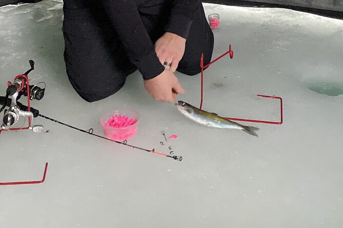 Half day ice fishing adventure in wasilla a close look at what the tour offers