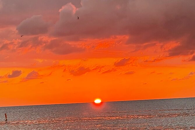 Half day private fishing trip with site seeing around anna maria island what travelers say about this tour