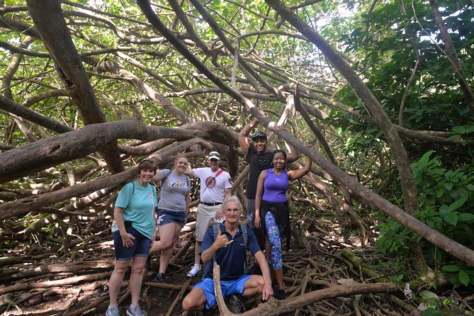 Hawaiian waterfall hike highlights of the hawaiian waterfall hike