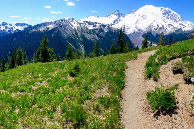 Hike mt. rainier & taste yakima valley wine: all inclusive day tour from seattle a day fully packed with natural beauty and flavor