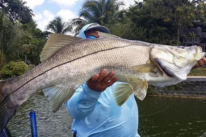 Homosassa inshore fishing charters an in depth look at homosassa inshore fishing charters