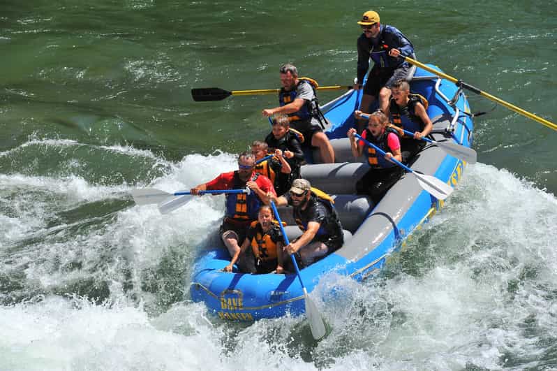 Jackson: 4 hour small boat snake river whitewater rafting why you might choose this rafting tour