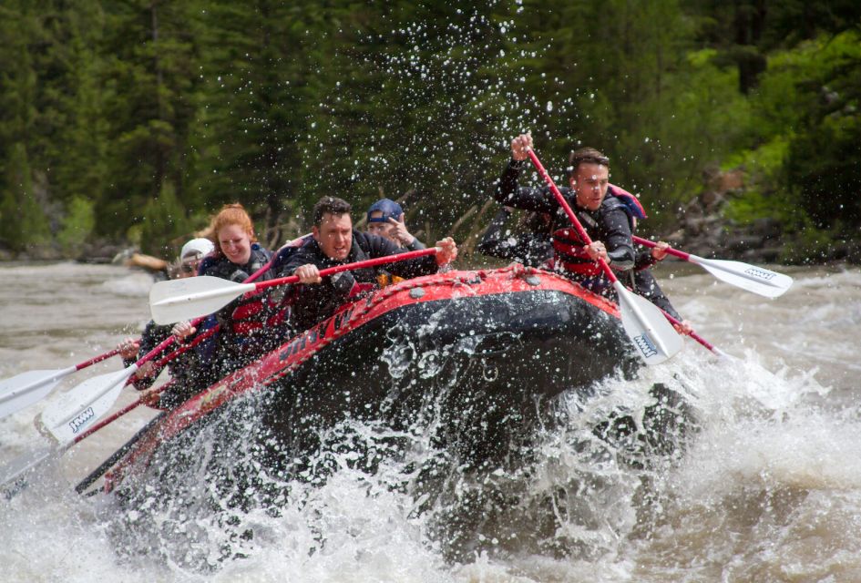 Jackson: snake river class 2 3 whitewater rafting adventure launch and paddling experience