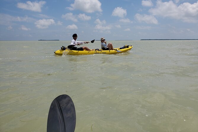 Kayak trip, 1 wet hike + 2 dry hikes in everglades national park who should consider this tour?