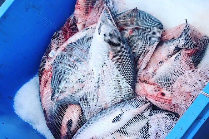 Ketchikan fishing charter deep dive into the itinerary