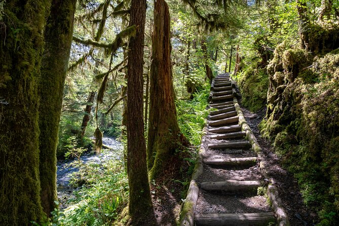 Ketchikan magical old growth creek trek guided tour an in depth look at the trek itinerary