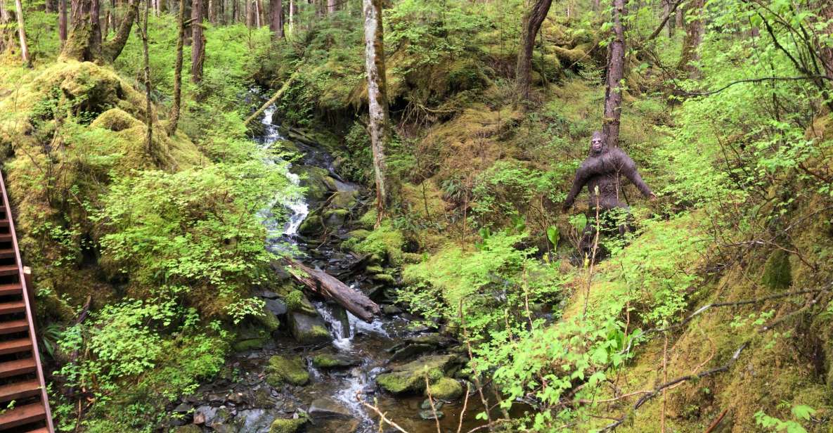 Ketchikan: tongass forest alaska bigfoot atv ride and hike analyzing the value of the tour
