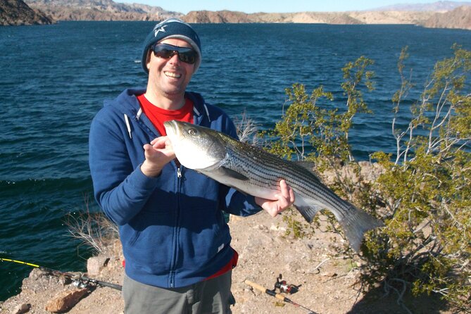 Lake mead striped bass fishing getaway the silence and the sting: a deeper dive into the itinerary