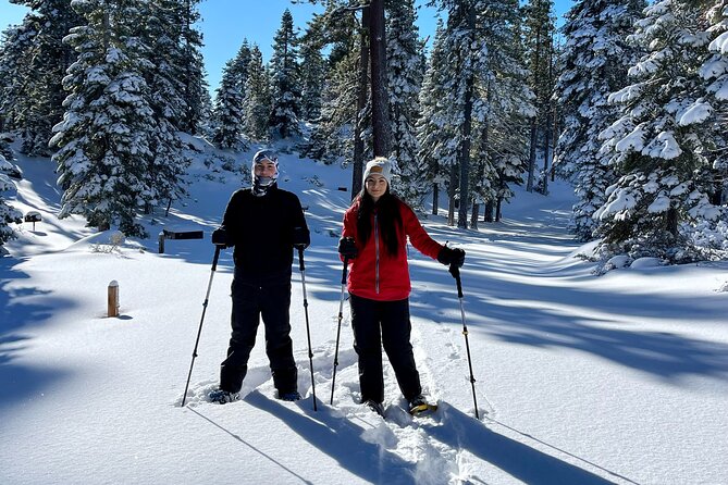Lake tahoe hike year round with a local a deep dive into the experience