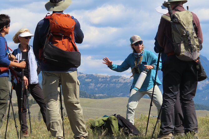 Lamar valley safari hiking tour with lunch the itinerary: carefully crafted for authentic encounters