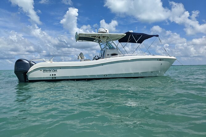 Let it ride charters private fishing charter adventure in key largo, fl what makes this trip stand out