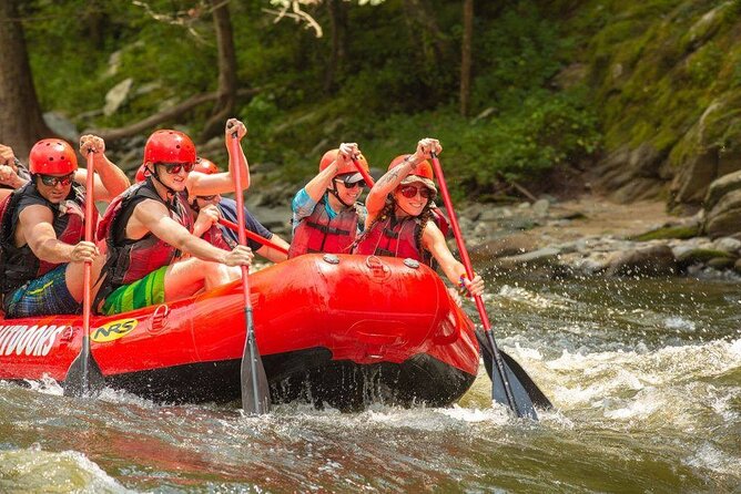 Lower pigeon river rafting tour highlights