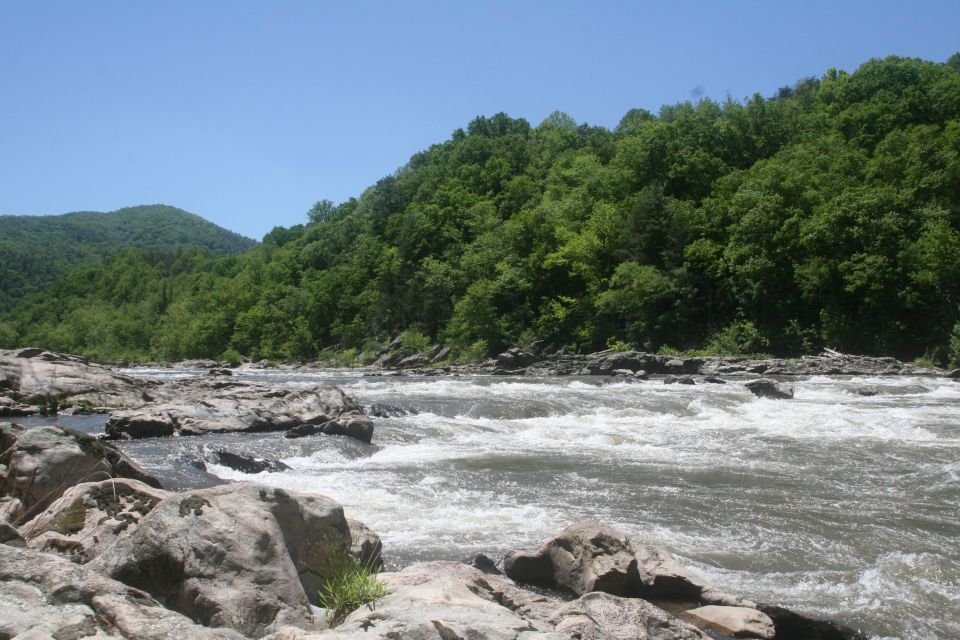 Marshall: french broad whitewater river rafting experience a detailed look at the itinerary and experience