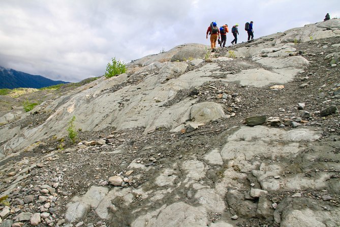 Mendenhall glacier guided hike juneau highlights of the mendenhall glacier guided hike